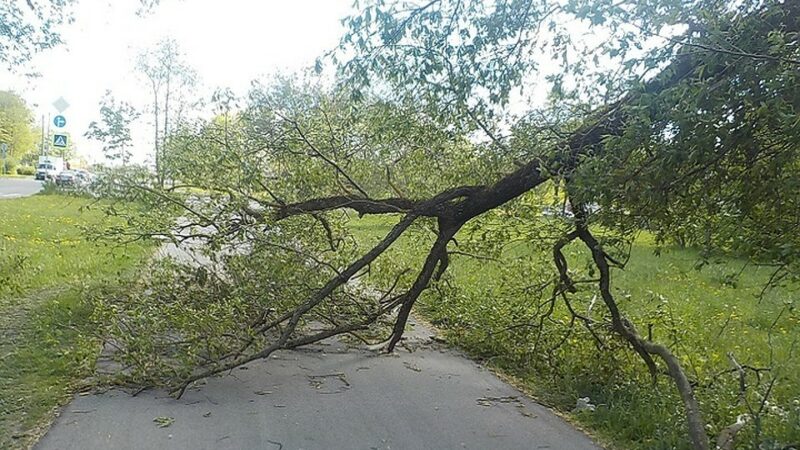 Esclusione di Enna e Messina dagli aiuti post-alluvione. Interrogazione del PD