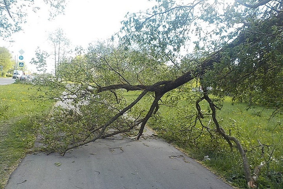 Esclusione di Enna e Messina dagli aiuti post-alluvione. Interrogazione del PD