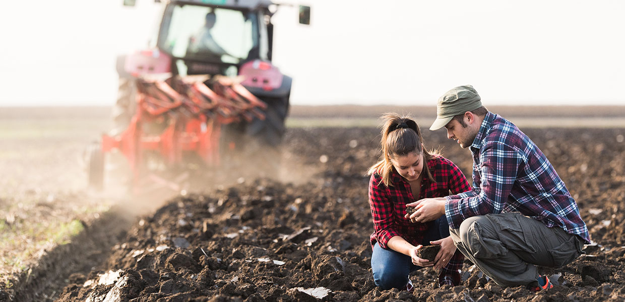 La crisi dell’agricoltura investe il territorio. Ne parliamo con l’agronomo Andrea Scoto