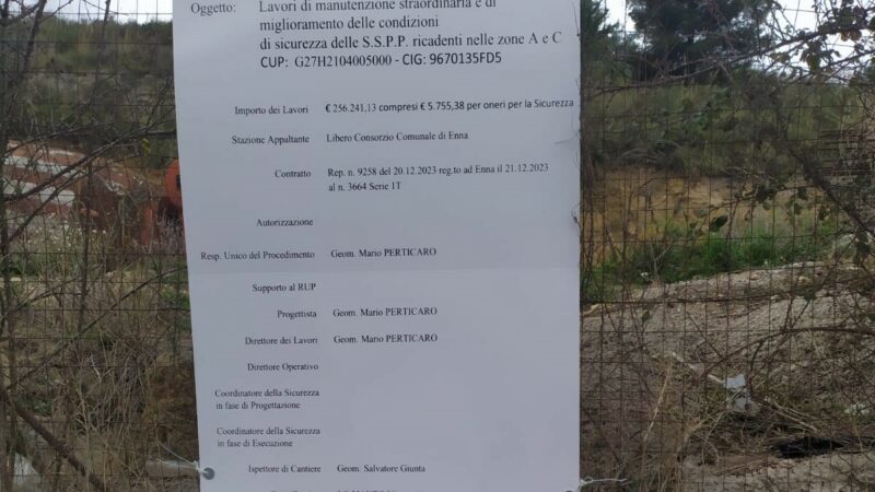 Viabilità. Consegnati i lavori per la manutenzione delle S.p n° 33 e 133 nei territori di Leonforte e Nicosia