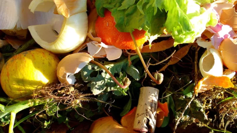 Il comune di Piazza Armerina avvia un’indagine per l’affidamento del servizio di compostaggio dei rifiuti organici