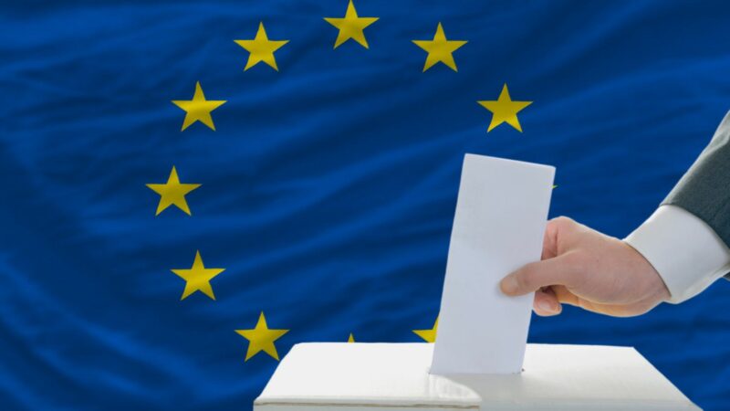 Elezioni europee: le percentuali di votanti in provincia di Enna Il dato definitivo