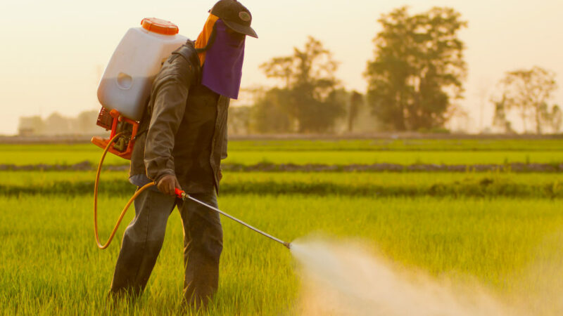 La Commissione Europea e la marcia indietro sulla legge dei pesticidi