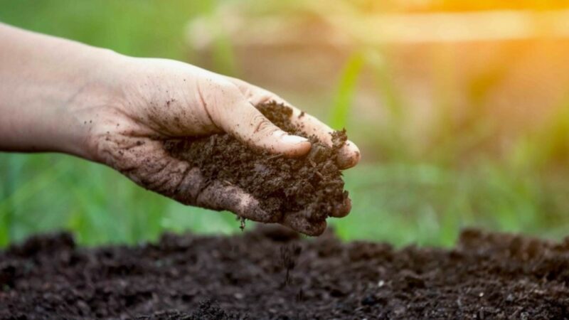 Piazza Armerina, sostenibilità ambientale: avviate le procedure per l’acquisizione di un servizio di compostaggio di rifiuti organici.