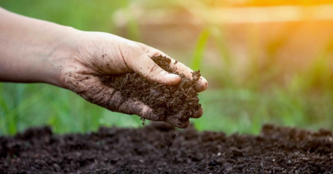 Piazza Armerina, sostenibilità ambientale: avviate le procedure per l’acquisizione di un servizio di compostaggio di rifiuti organici.