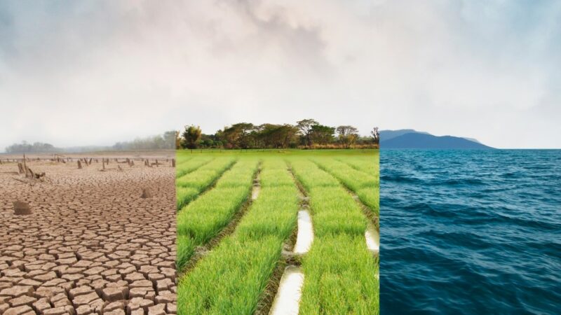 Giornata mondiale dell’ambiente 2024: l’urgenza di agire