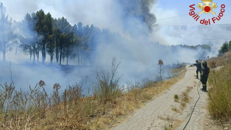 Situazione incendi a Piazza Armerina
