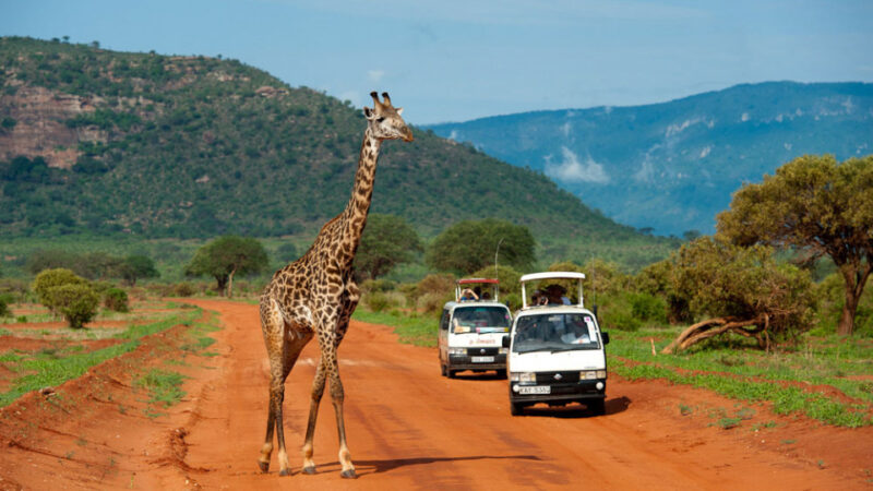 Aggiornamento sui quattro turisti ennesi ricoverati in Kenia.