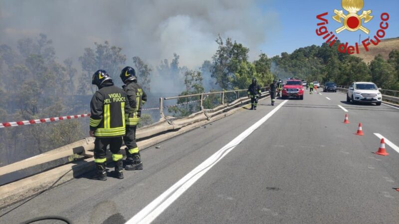 Camion precipita dal cavalcavia dell’A19 a Enna: morto il conducente, in fiamme il bosco sottostante