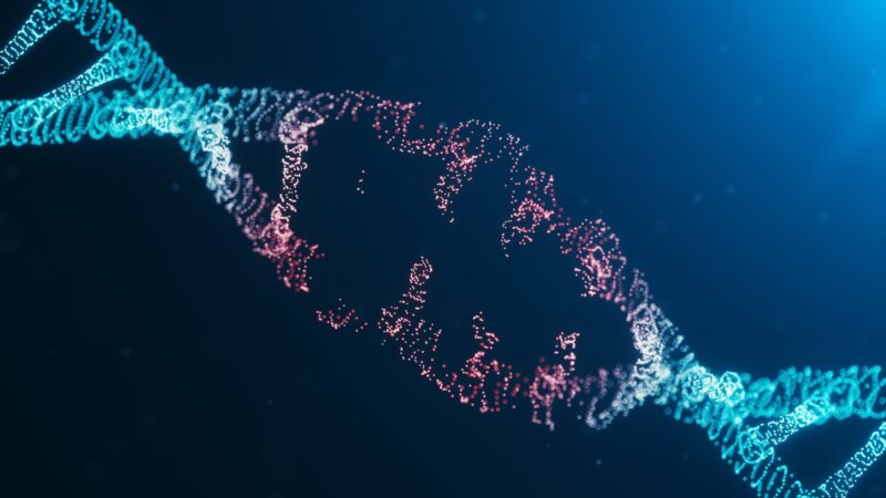 Una nuova mappa del genoma basata su CRISPR per comprendere le malattie