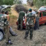 Caccia in provincia d'Enna, L’appello del WWF: "Sostanziale impunità, urgono controlli"