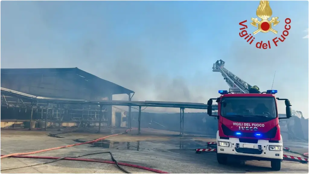 Devastante incendio in un'azienda avicola a Piazza Armerina