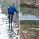 Dalle pietre preziose al degrado ambientale, l’appello di SiciliAntica per salvare il fiume Crisa