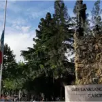 Piazza Armerina - Palme di piazza Cascino, lavori affidati dopo una gara con cinque offerte